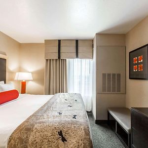 Suite met een King Size Bed